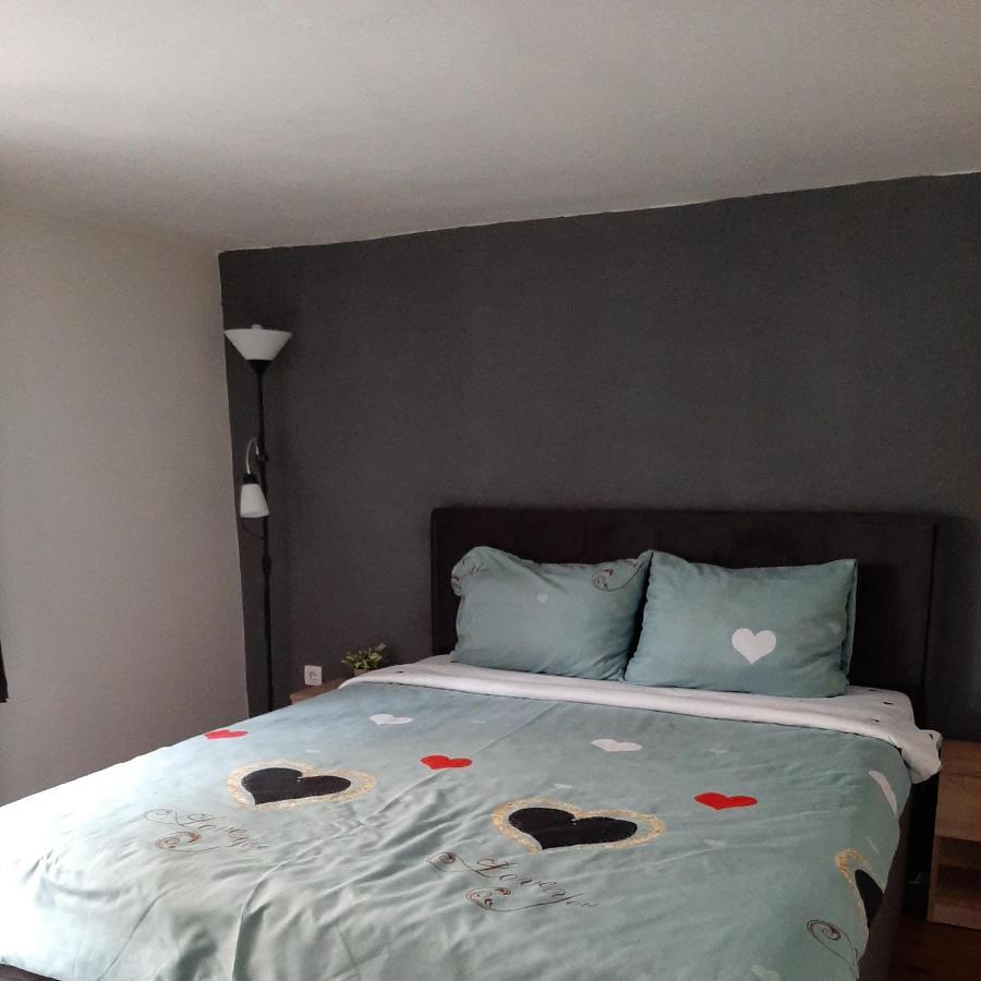 Apartman Zivkovic Leskovac  Exteriér fotografie