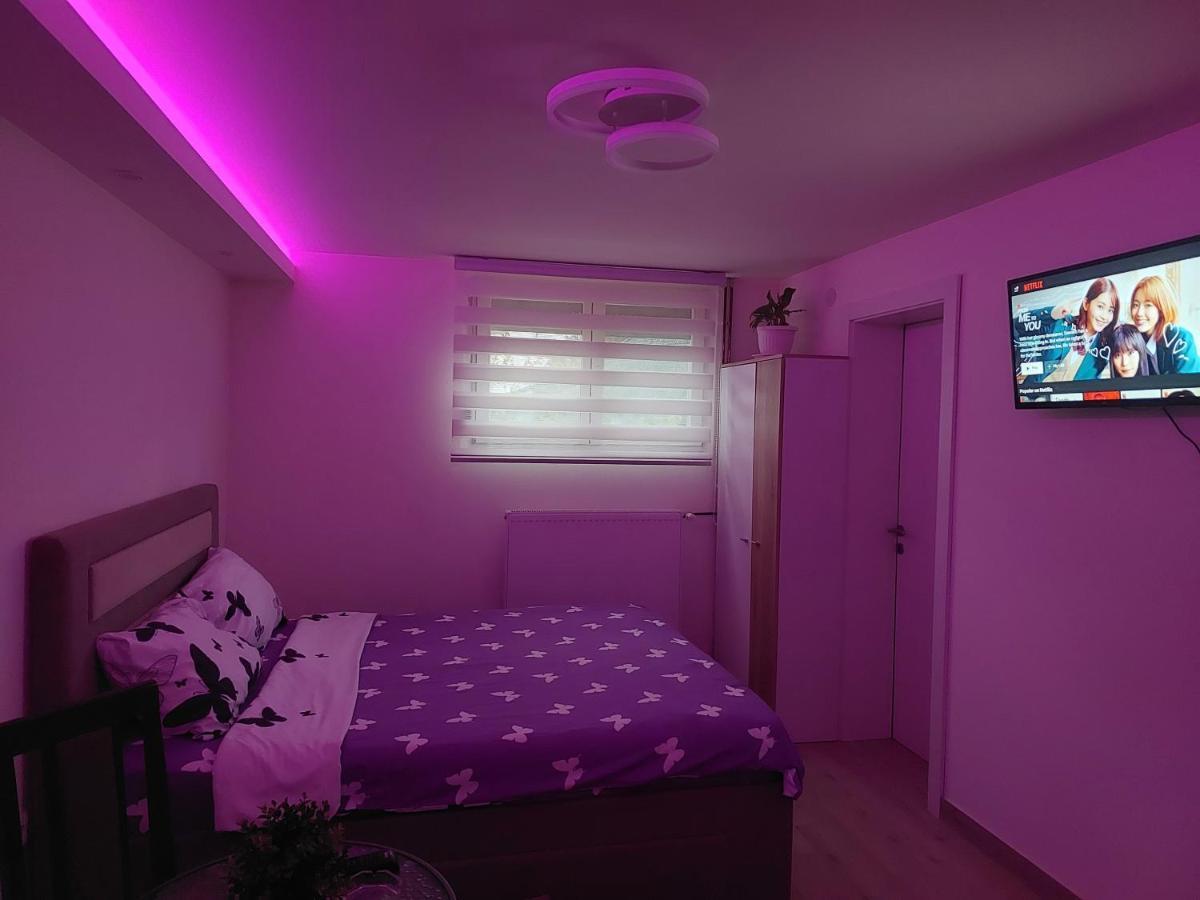 Apartman Zivkovic Leskovac  Exteriér fotografie