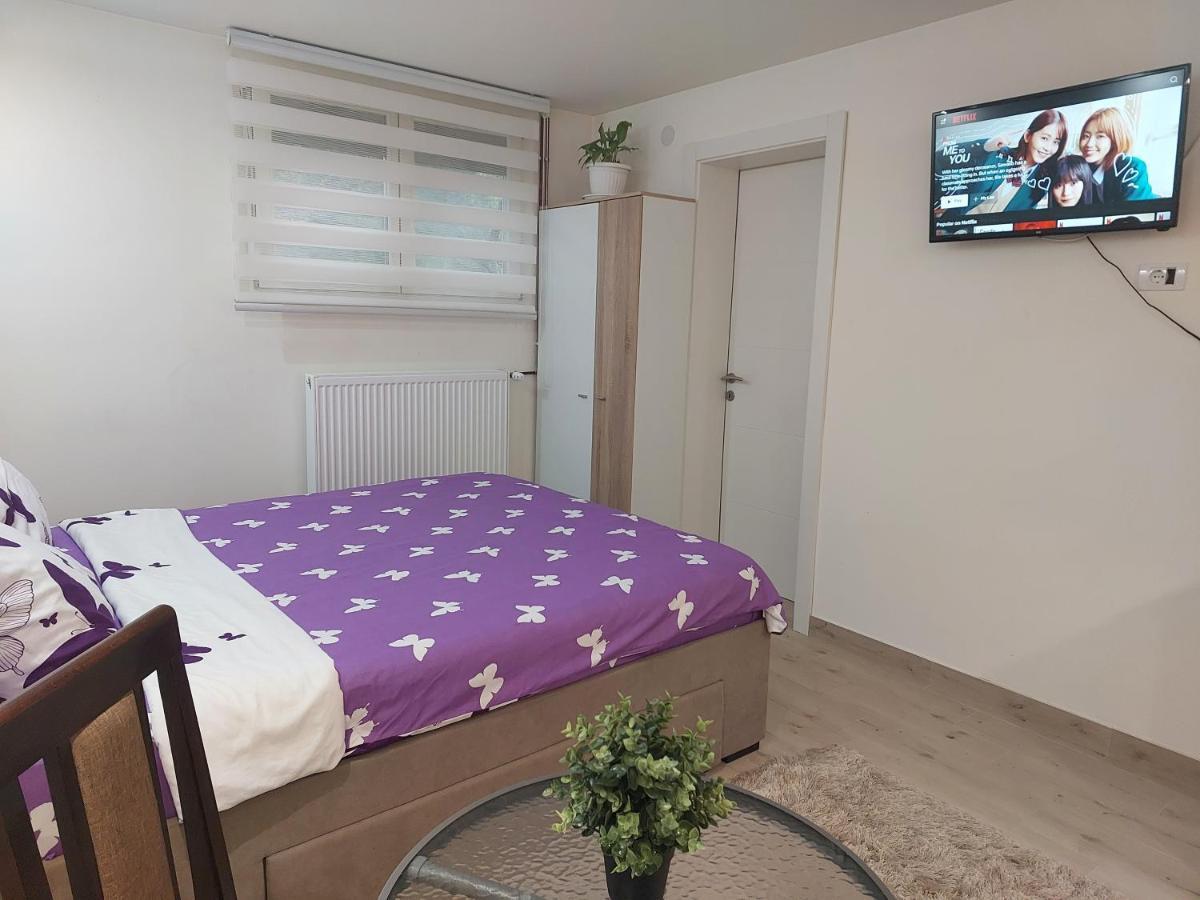 Apartman Zivkovic Leskovac  Exteriér fotografie