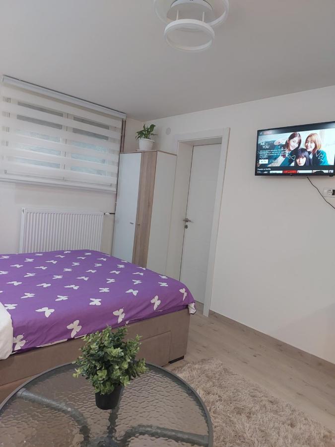 Apartman Zivkovic Leskovac  Exteriér fotografie