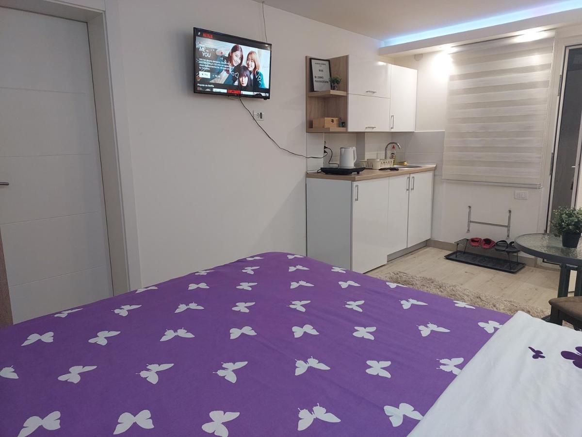 Apartman Zivkovic Leskovac  Exteriér fotografie