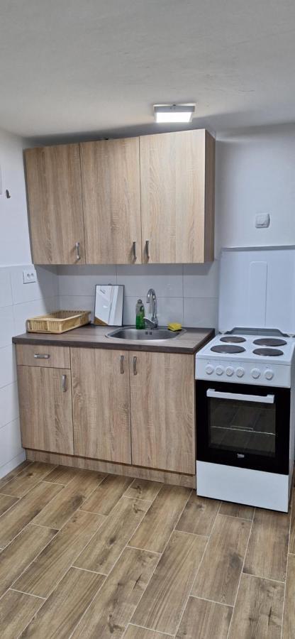 Apartman Zivkovic Leskovac  Exteriér fotografie
