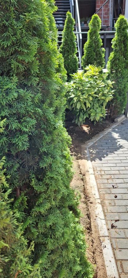 Apartman Zivkovic Leskovac  Exteriér fotografie