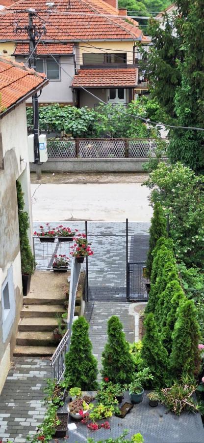 Apartman Zivkovic Leskovac  Exteriér fotografie