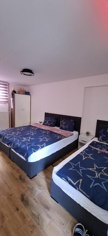 Apartman Zivkovic Leskovac  Exteriér fotografie