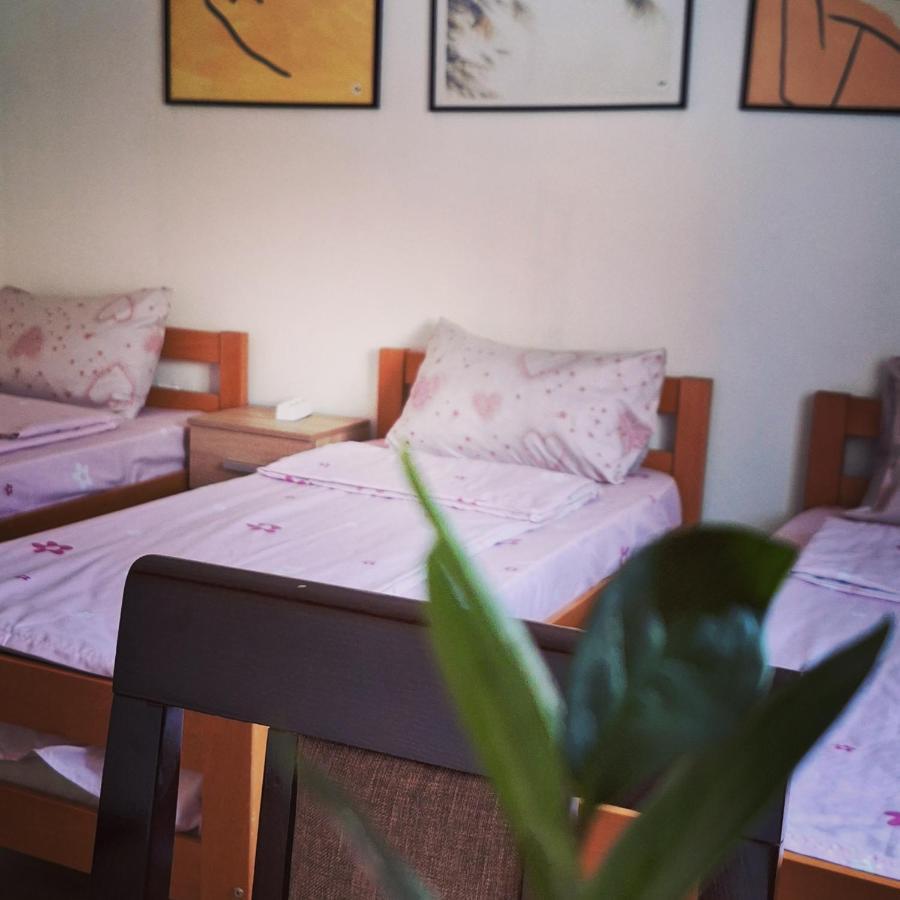 Apartman Zivkovic Leskovac  Exteriér fotografie