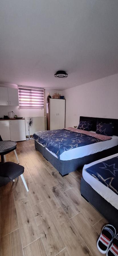 Apartman Zivkovic Leskovac  Exteriér fotografie
