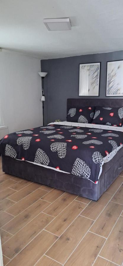 Apartman Zivkovic Leskovac  Exteriér fotografie